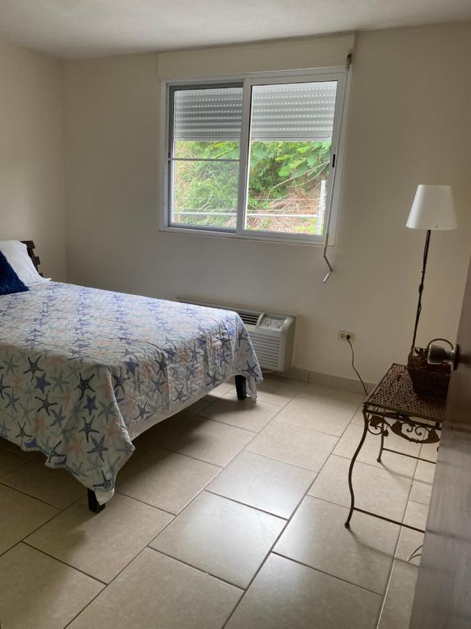 Belash Tropical Oasis Next To Beaches And Palmas Del Mar Humacao Exterior photo