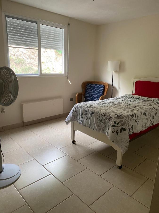 Belash Tropical Oasis Next To Beaches And Palmas Del Mar Humacao Exterior photo